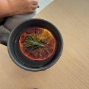 링크 늘푸른 애견호텔 이미지