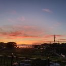 님 바래기 이미지