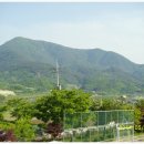 유림초등학교 이미지
