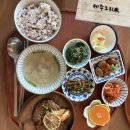 제주그리미 | 제주 조천 애견동반 식당 한식맛집 제주그리미 내돈내산 후기