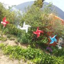 꽃향기 머무는 곳 이미지