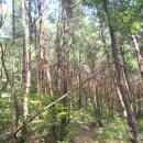 사리마을회관 이미지