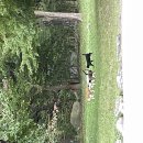 회의중에 핸드폰 화면 계속 켜져서 바쁜사람처럼 보일라고 올리는 여시캡챠 이미지