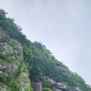 미륵산농장 이미지