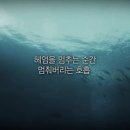 인생참치 이미지