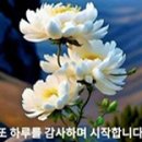 🌺삶의 지혜와 희망을 주는짧은 명언🌺 이미지