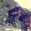 대머리민박 이미지