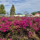 향나무공원 화장실 이미지