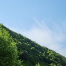 라라랜드 | [충북 제천/그래가 직영] 내돈내산 평일 1만원 자연뷰 캠핑장 추천 - 제천 라라랜드 캠핑장(2)