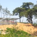 용궁초등학교 이미지