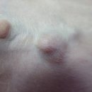 다래동물병원 이미지