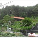 홍천읍사무소 이미지