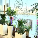 죽하우스늘봄 이미지