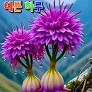 사랑과 기쁨 이미지