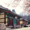 공주-10 이미지