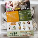 흙묻은감자민박 | 유튜브 쇼츠 그 채소! '히카마(얌빈)' 내돈내산 솔직 후기 (다이어트, 변비, 맛 정리)