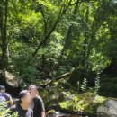 목화공방스테이 이미지