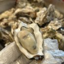 왕생굴구이 | [포항] 현지인 추천 제철 굴 요리 맛집 왕생굴구이 쌍사점 솔직 후기