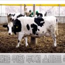 우일목장 이미지