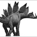 스테고사우루스-1 이미지