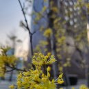 2025년 3월 23일 화창한 봄날 엠티산악회 7번째 시산제 이미지