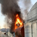 효산농장 이미지