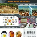 에그조아 이미지