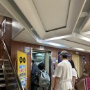 북면115 | 울릉도 프리다이빙 여행 후기/국내 바다/국내 여행