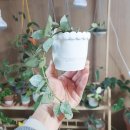 동그라미슈퍼 이미지