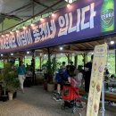 이집이좋겠네 이미지