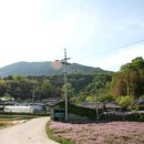 말월마을 이미지