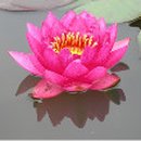 학천1리 이미지