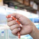 베스트피쉬 수족관 이미지