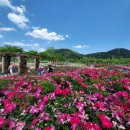 푸른정비 이미지