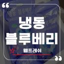 주식회사 청아냉동식품 | 웰프레쉬 냉동 블루베리 요거트와 초코바크 레시피