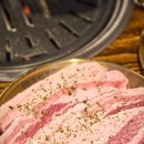 불막열삼 이미지