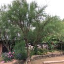 경진여관 이미지