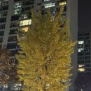 도레미키즈치과의원 이미지