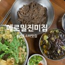 동로시장 | 전주맛집 메밀국수 전문점 <메르밀진미집> 백년가게 땡초소바, 온소바 후기