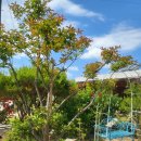 황학산비채숲펜션 | 낭만과 즐거움 칠곡펜션 황학산비채숲펜션 펜션 후기