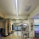 애니멀샵 이미지