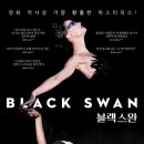 블랙스완 - 군포시 산본로323번길 23 | 블랙스완