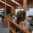 영농조합법인정원농장 이미지