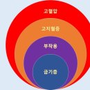 맑은서울의원 이미지