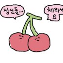 GS25 일광해수욕장점 이미지