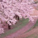 꿀꺽소리 이미지