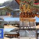 광산사 티스토리