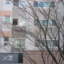 용구대로2469번길 이미지