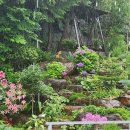 정원가든민박 이미지