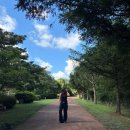 비자림의 아침 | [제주] 천년의숲 비자림 아침 산책 후기